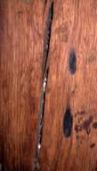Apotropaic marks, either burnt or inscribed, to keep the evil spirits out, are often found to the right of doorways and on chimney beams.