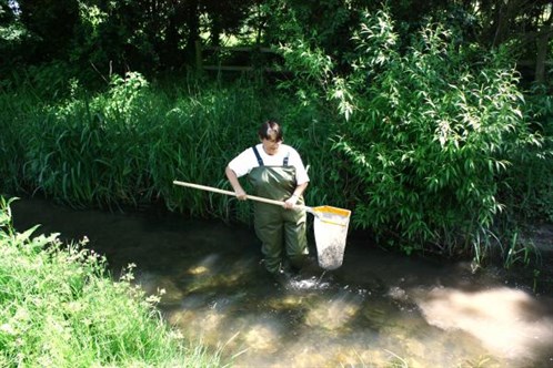 Riverfly Analysis