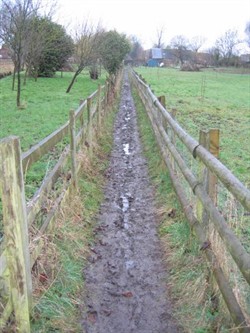 Mill Lane Mudbath