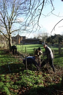 Chuchyard Planting