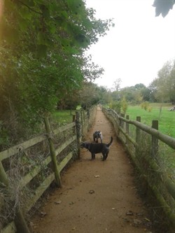 Mill Lane Footpath