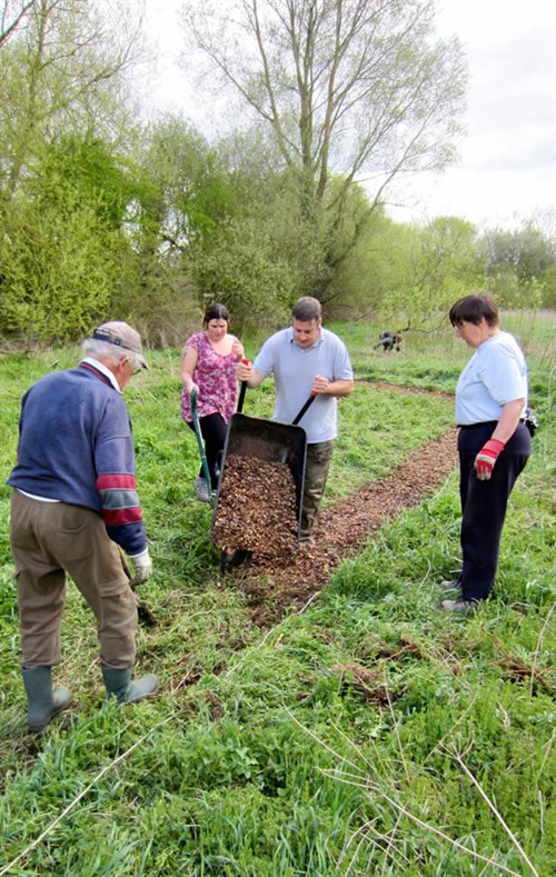 Hardings Path Laying