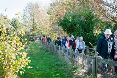 Footpath Opening - walkers