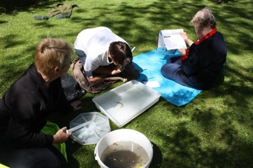 Riverfly Monitoring